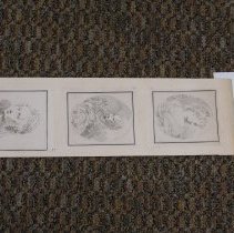 [Three Female Portraits]